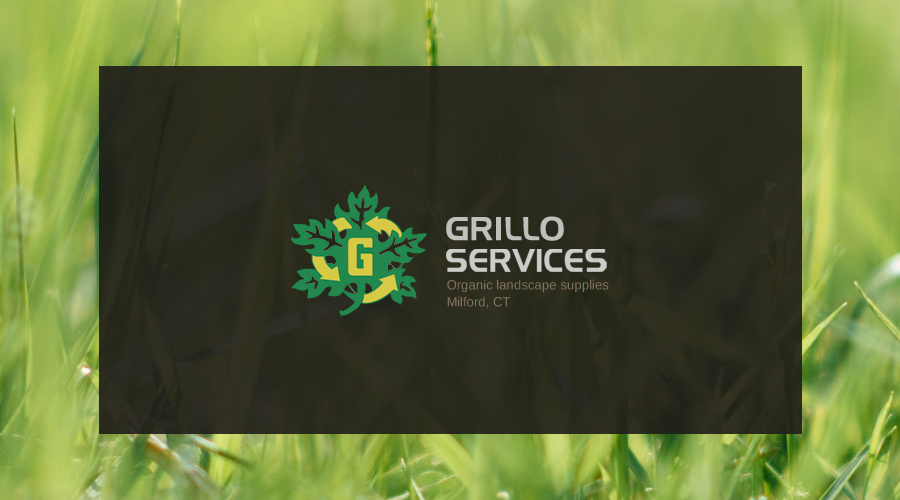 Featured image for “Grillo Services – Milford, CT”
